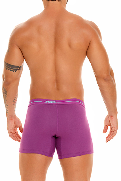 1834 DAILY LONG BOXER PURPLE