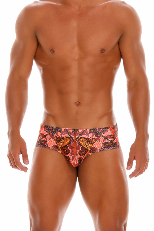 1519 WARRIOR BRIEF PRINTED