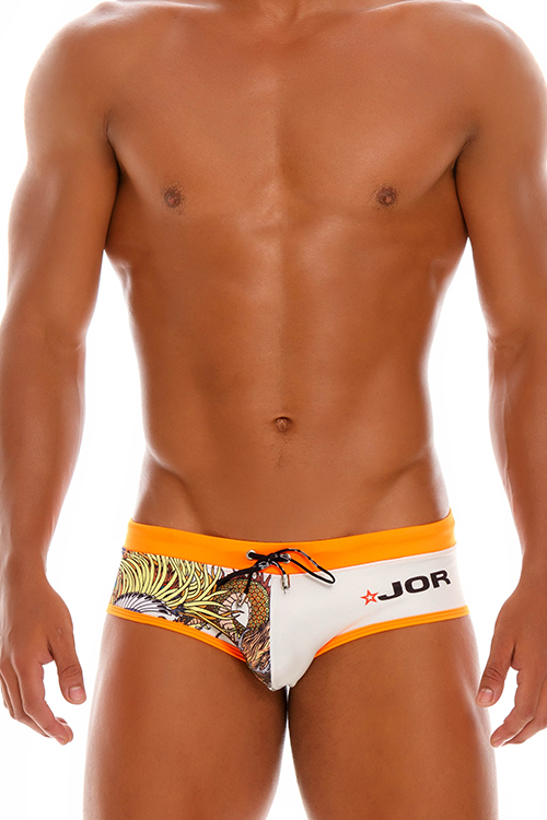 1560 FENIX SWIMWEAR BRIEF PRINTED