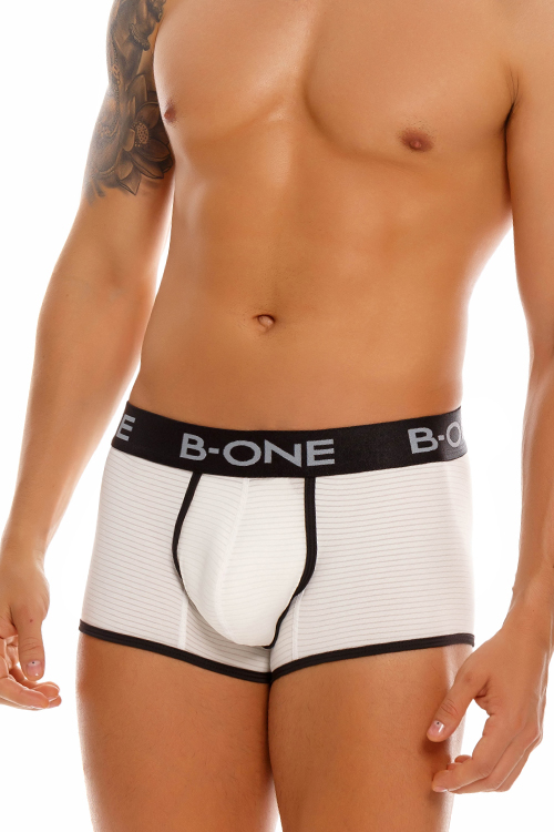 0013-2 BOSTON BOXER BEIGE