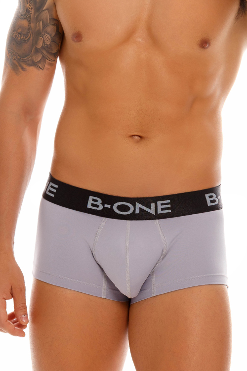 0014-2 CANNES BOXER GRAY
