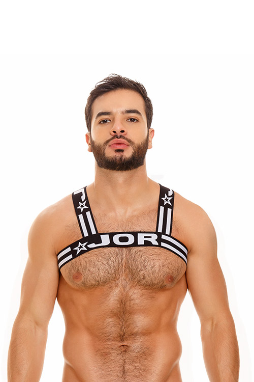 1751 ROCCO HARNESS BLACK