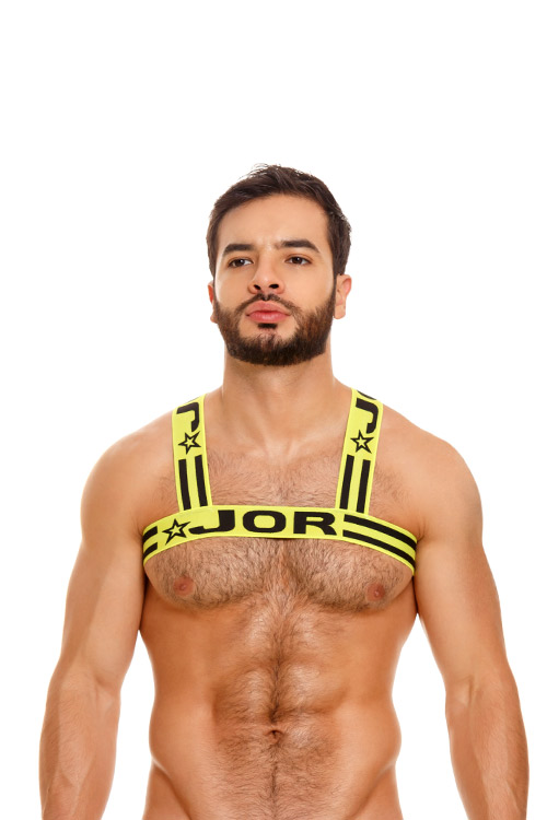 1751 ROCCO HARNESS NEON